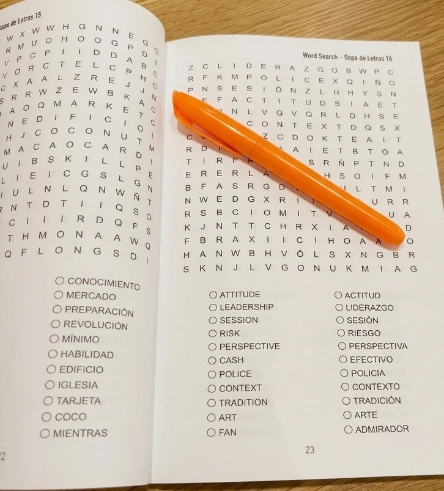 Word Search Librito – Volume I: Bilingual Word Search for Everyday Vocabulary thumbnail 3